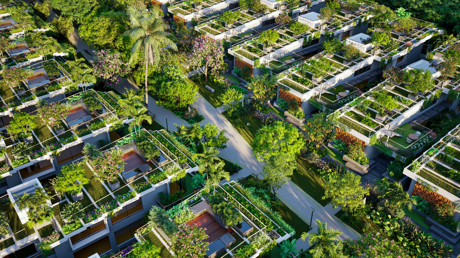 street aerial