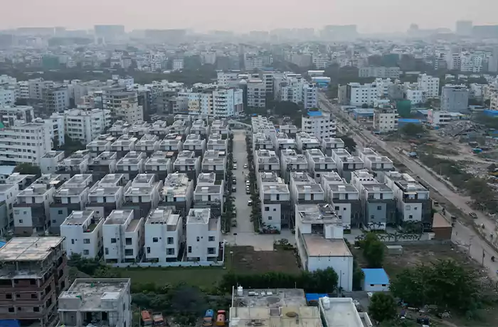 Priston Ivy -Thumbnail